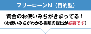 フリーローンN(目的型)