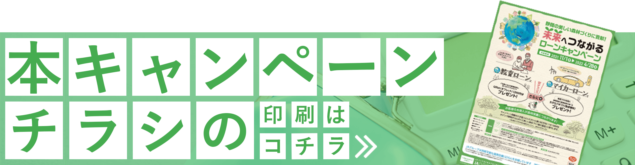 本キャンペーンのチラシ
