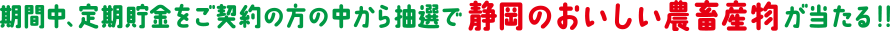 期間中、定期貯金をご契約の方の中から抽選で、静岡のおいしい農畜産物が当たる！！